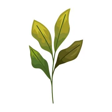 Green spring leafs in branch イラスト素材