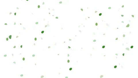 Green spring leaves animation falling softly across white background Stock Footage 317301316
