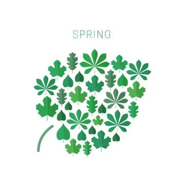 Green spring leaves. Stock Illustration