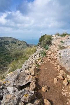 Green spring mountain landscape Stock Photos