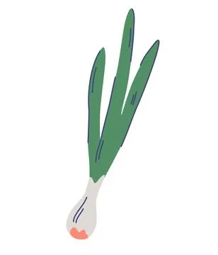 Green spring onions. Chive bunch. Fresh vegetables. Vegan healthy food. Perfe Stock Illustration