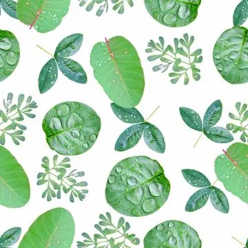 Green spring pattern Stock Illustration