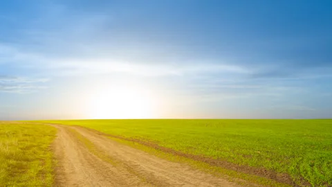 Green spring rural field scene at the sunset Stock Footage 340887840