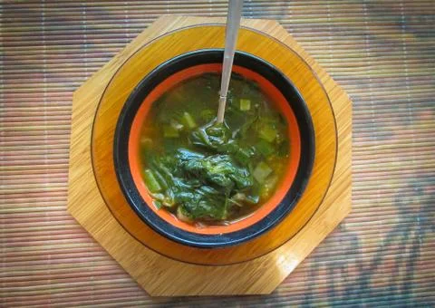 Green Spring Soup. Stock Photos
