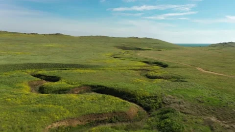 The green spring steppe aerial view. Clear blooming wild pasture land with fl Stock Footage 165322673