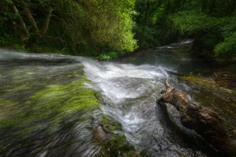 Green spring tones in a waterfall Stock Photos