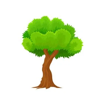 Green spring tree vector Illustration on a white background Stock Illustration