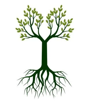 Green Spring Tree. Vector outline Illustration. Illustrazione stock