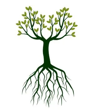 Green Spring Tree. Vector outline Illustration. 스톡 일러스트