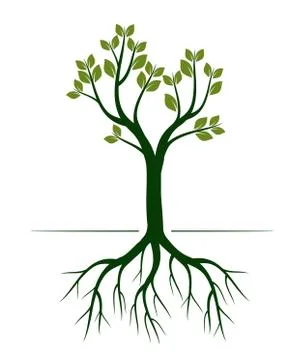 Green Spring Tree. Vector outline Illustration. Illustrazione stock