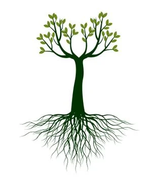 Green Spring Tree. Vector outline Illustration. Stock Illustration