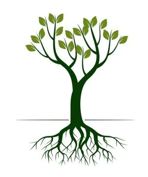 Green Spring Tree. Vector outline Illustration. Illustrazione stock