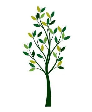 Green Spring Tree. Vector outline Illustration. Stock Illustration