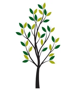 Green Spring Tree. Vector outline Illustration. Stock Illustration