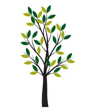 Green Spring Tree. Vector outline Illustration. Illustrazione stock