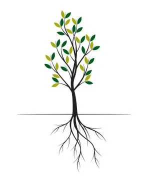 Green Spring Tree. Vector outline Illustration. Illustrazione stock
