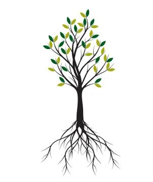 Green Spring Tree. Vector outline Illustration. Stock Illustration