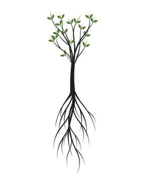 Green Spring Tree. Vector outline Illustration. Stock Illustration