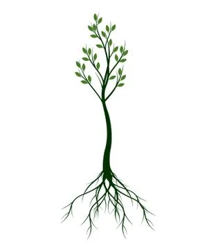 Green Spring Tree. Vector outline Illustration. Stock Illustration