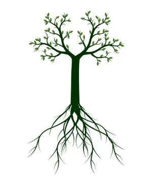 Green Spring Tree. Vector outline Illustration. Illustrazione stock