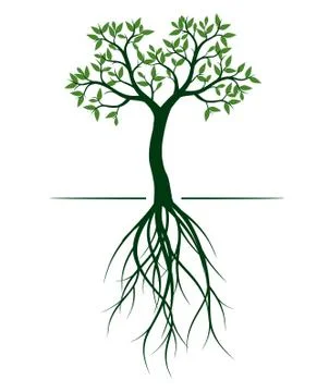 Green Spring Tree. Vector outline Illustration. Illustrazione stock