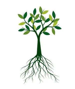 Green Spring Tree. Vector outline Illustration. Stock Illustration