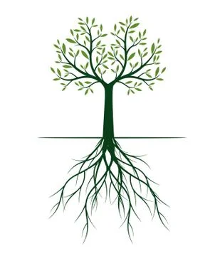 Green Spring Tree. Vector outline Illustration. Illustrazione stock