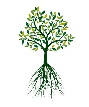 Green Spring Tree. Vector outline Illustration. Stock Illustration