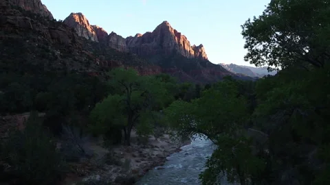 Green spring trees on the Virgin River in Zion National Park at sunset Stock Footage 147107102
