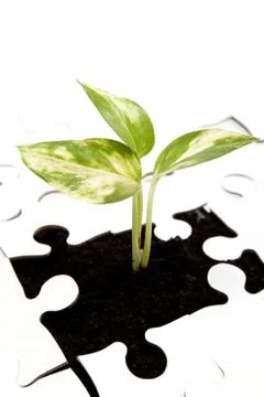 Green sprout from the earth makes its way through the puzzle. Stock Photos