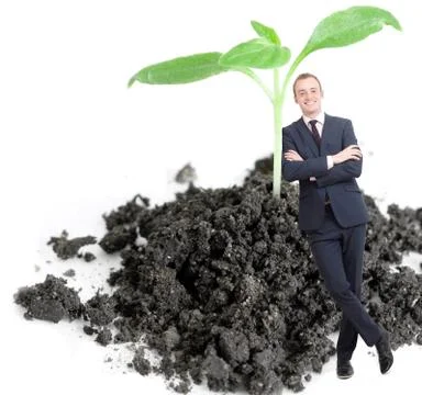 Green sprout Stock Illustration