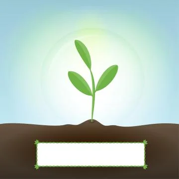 Green sprout イラスト素材