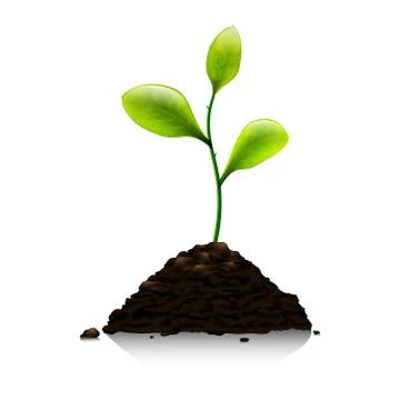Green sprout Stock Illustration