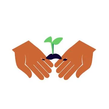 Green sprout on the palms. Vector illustration. Stock Illustration