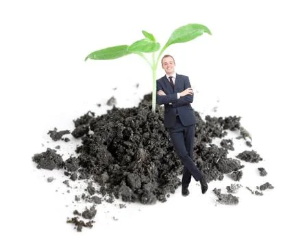 Green sprout Stock Photos