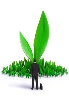 Green sprouts Illustrazione stock