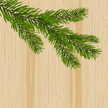 Green spruce branches on the background nature of wood. illustration Stock Illustration