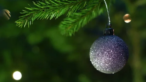 Green spruce Stock Footage 100678112