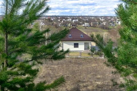 Green spruce pine tree branches and brand new house village in sunny day. H.. Stock-Fotos