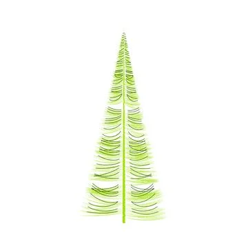 Green spruce tree with asymmetrical side branches Stock Illustration
