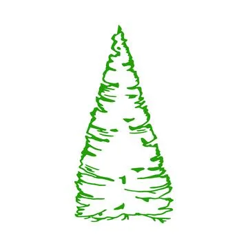 Green spruce tree with asymmetrical side branches Stock Illustration