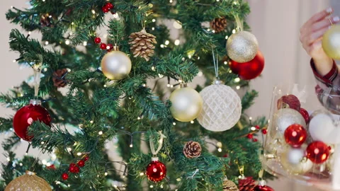 Green spruce tree decorated with blinking garland, transparent box with winter Stock Footage 250648525