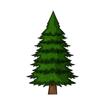 Green spruce tree standing illustration on white background Stock Illustration