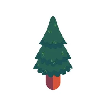 Green spruce vector illustration in flat style - evergreen pine tree for natural Stock Illustration