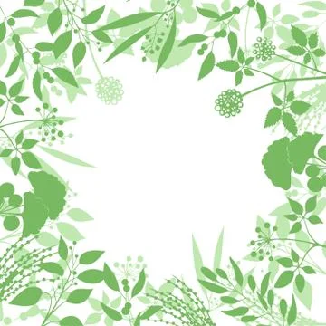 Green square background with collection of plants. Silhouette of herbs branches Illustrazione stock