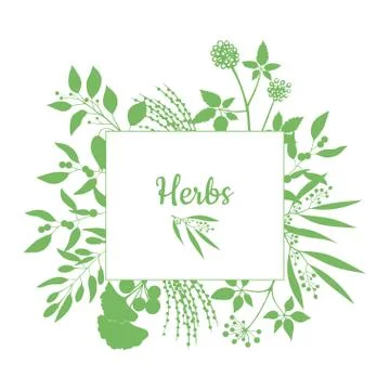 Green square frame with collection of plants. Silhouette of branches isolated on 스톡 일러스트