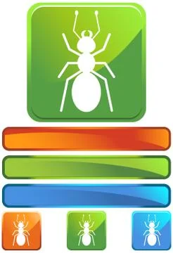 Green square icon - ant Stock Illustration