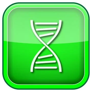 Green square shiny icon Illustration