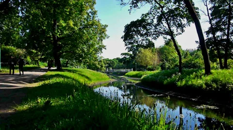 Green square with small river Stock Footage 29400716
