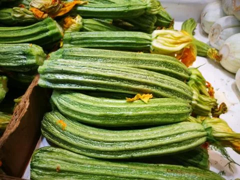 Green squash with blossoms Stock Photos